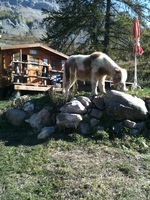 Bienvenue au Ranch du grand aigle